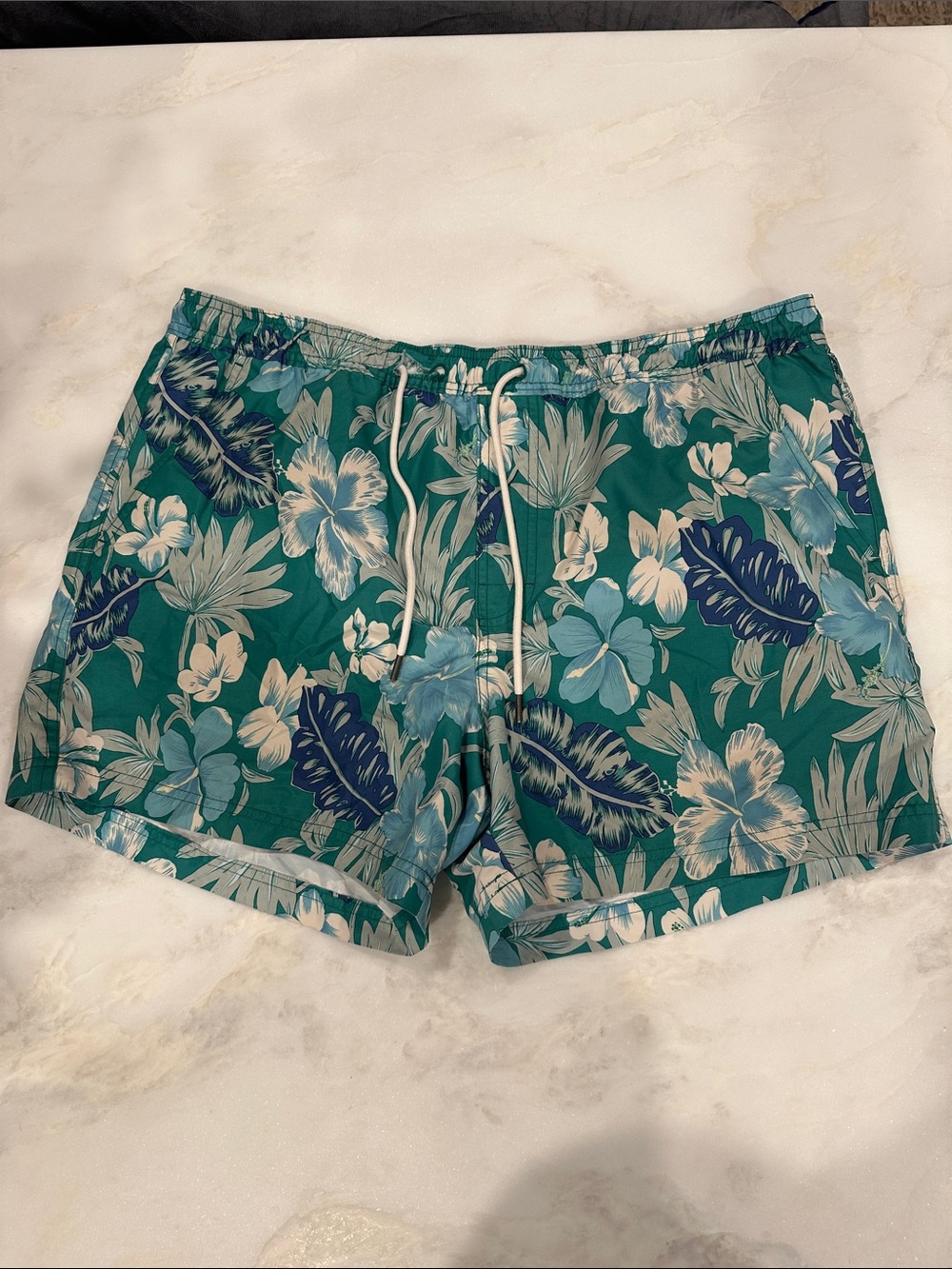 American Eagle Outfitters Teal Floral Swim Trunks